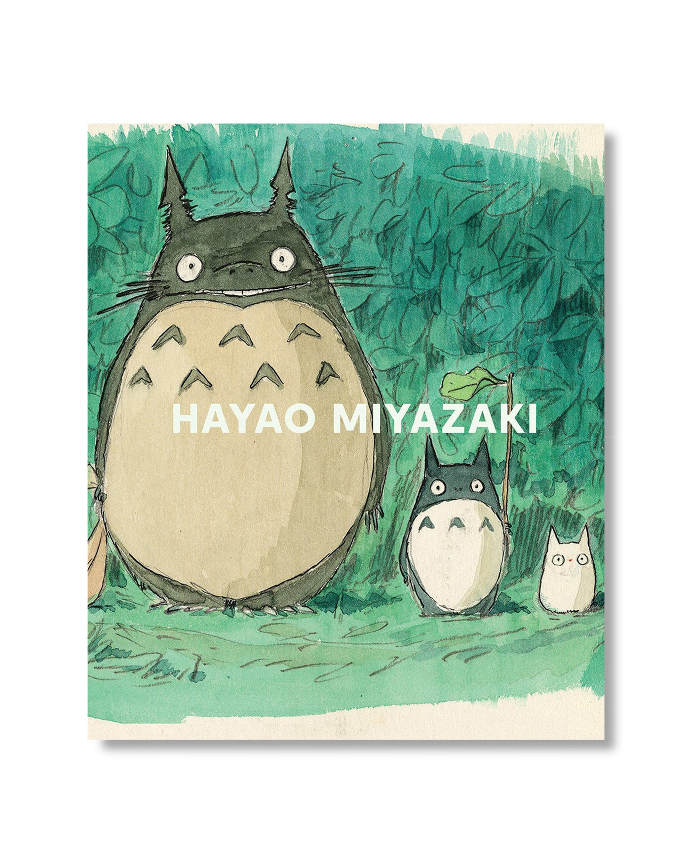 Hayao Miyazaki Hardcover Book