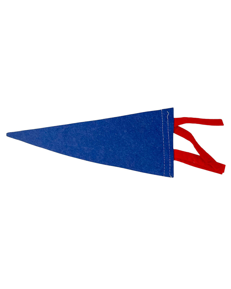 Vintage Coney Island Pennant