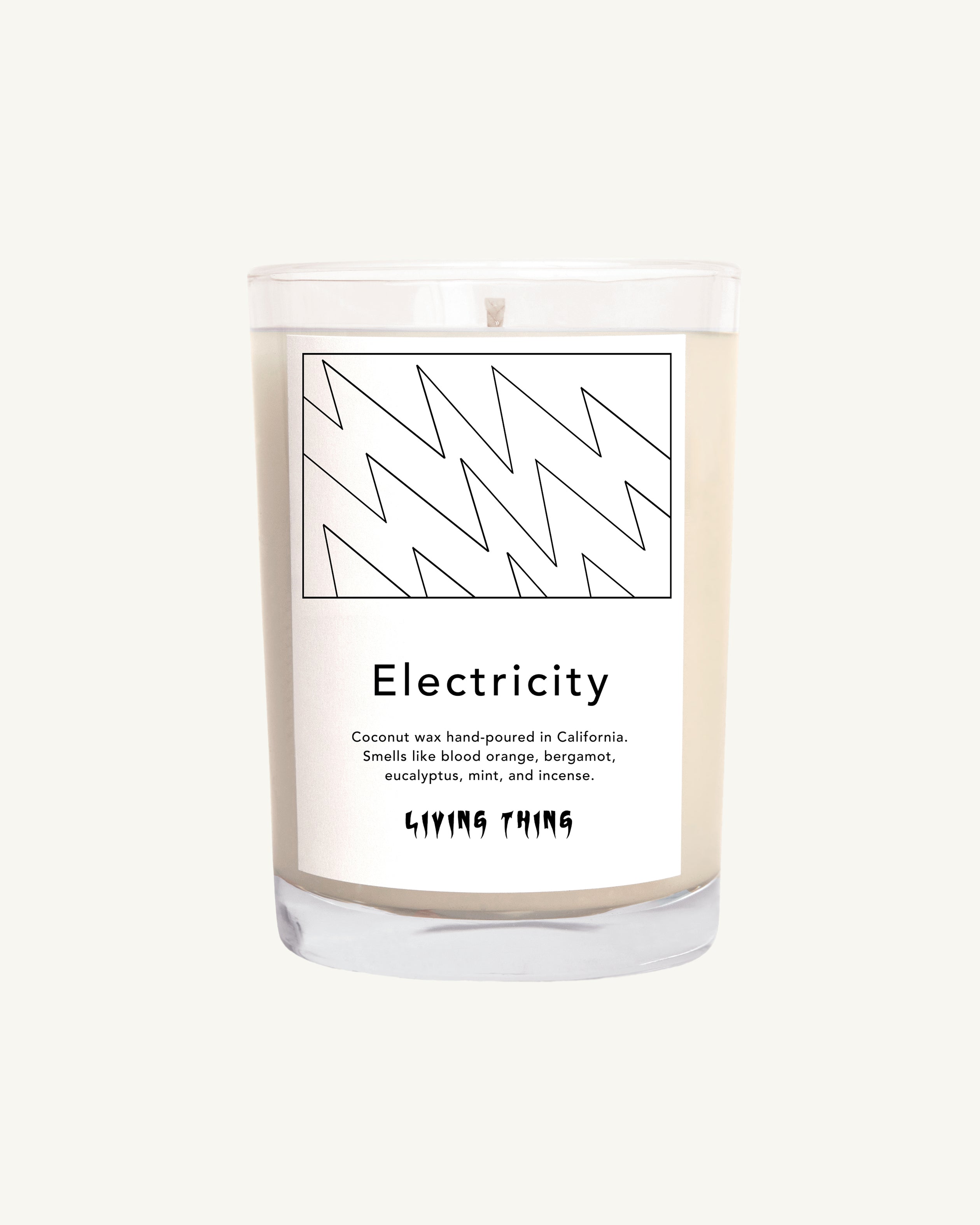 Electricity Candle: Orange + Eucalyptus