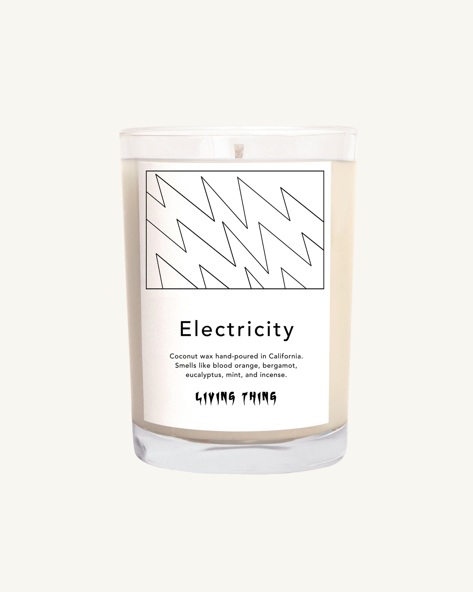 Electricity Candle: Orange + Eucalyptus
