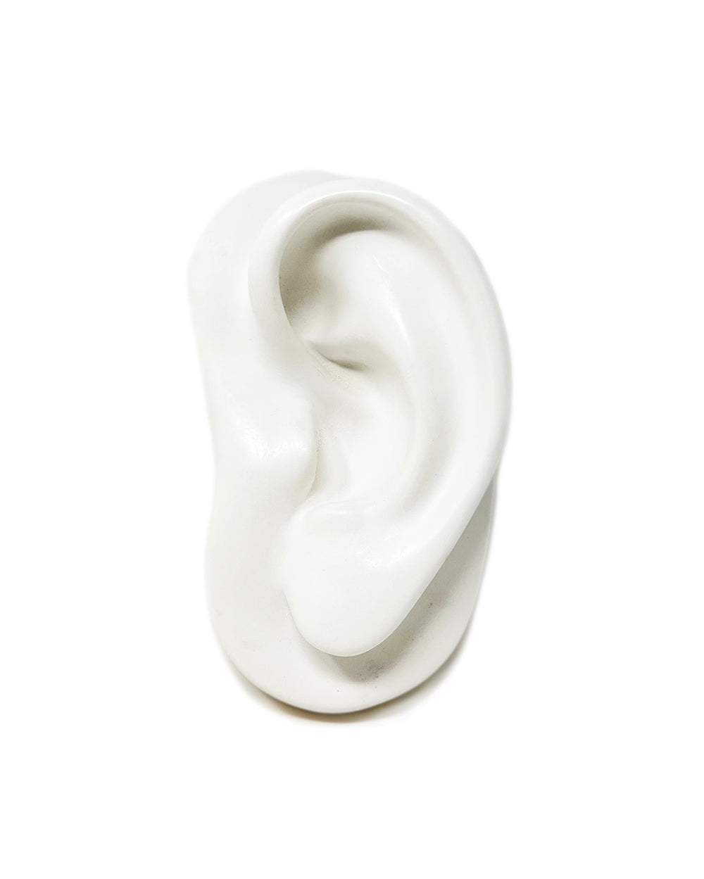 Face Parts Plaster Casts - Ear