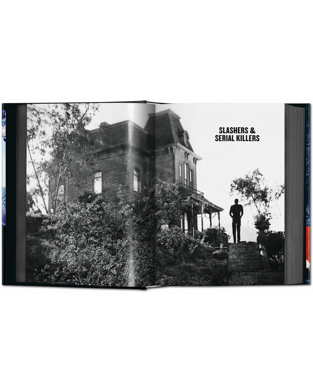 Horror Cinema Hardcover Book