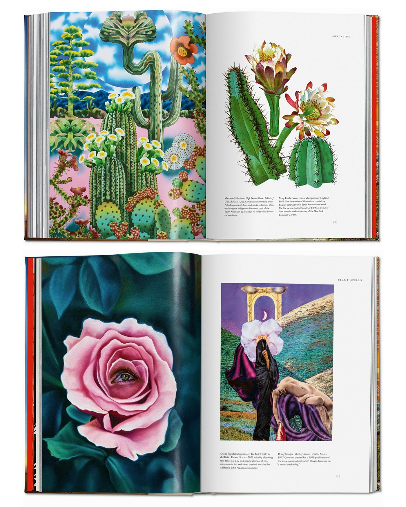 【新品】Plant Magick Taschen ボタニカルアート タッシェン Plant Magick. The Library of Esoterica. TASCHEN Books