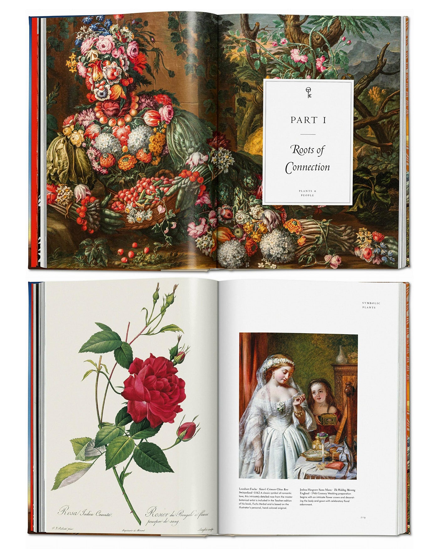 Plant Magick: The Library of Esoterica, Taschen - Kiki Wonder
