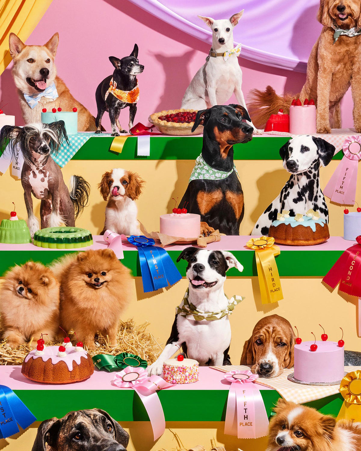 Top Dog 1,000-Piece Puzzle