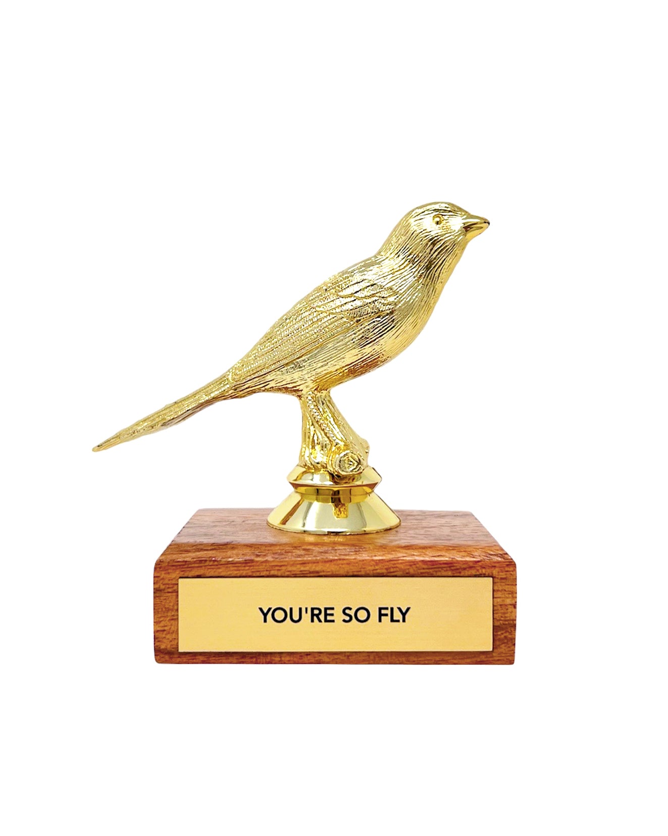 You're So Fly Trophy