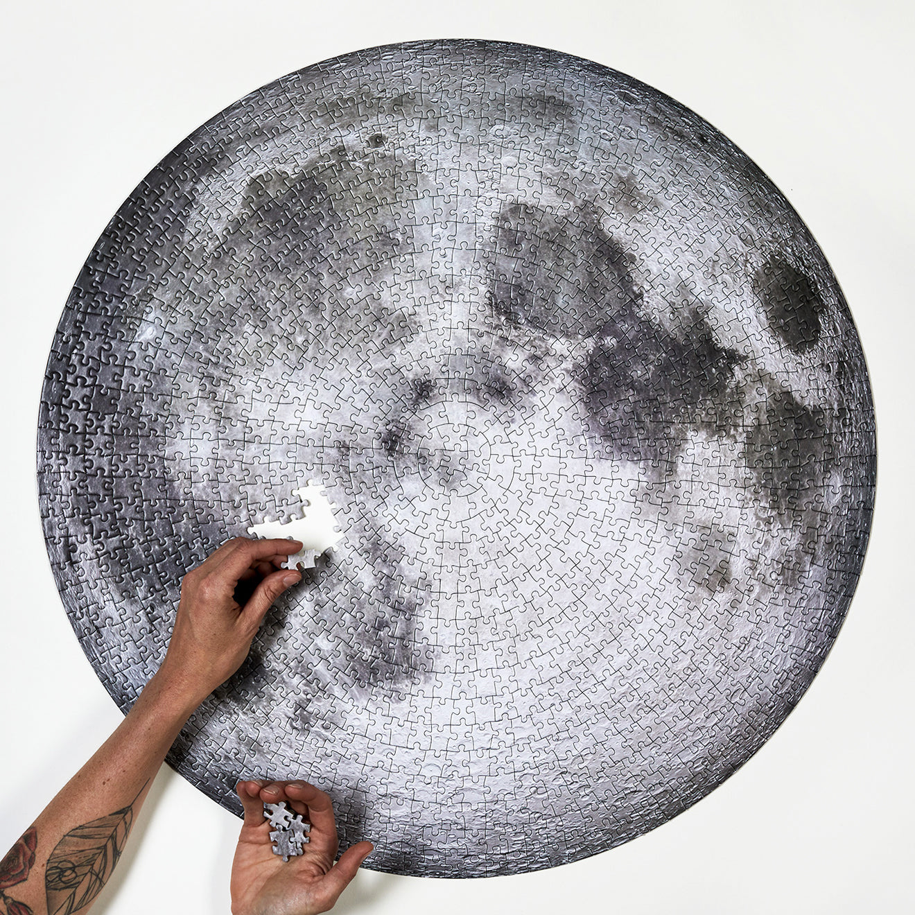 The Moon Puzzle