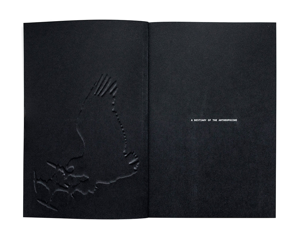 Bestiary of the Anthropocene: Hybrid Plants, Animals, Minerals, Fungi, and Other Specimens Book