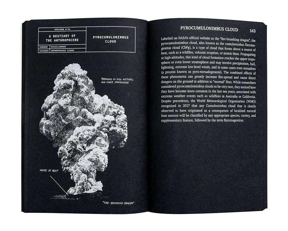 Bestiary of the Anthropocene: Hybrid Plants, Animals, Minerals, Fungi, and Other Specimens Book