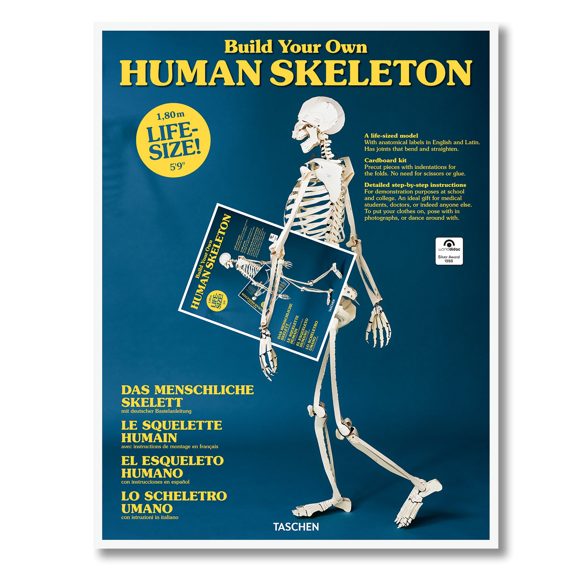 Build Your Own Human Skeleton Kit