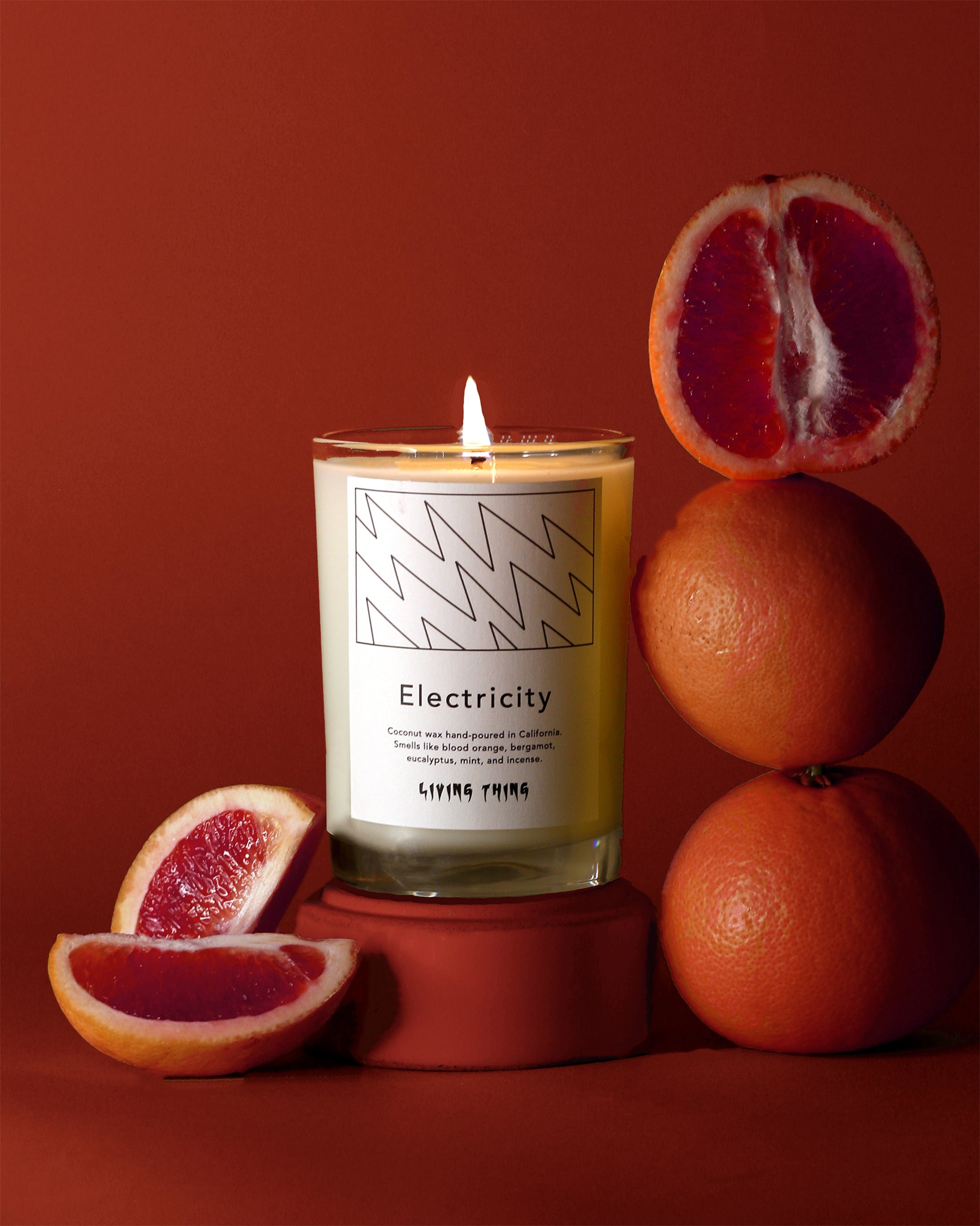 Electricity: Orange + Eucalyptus Candle