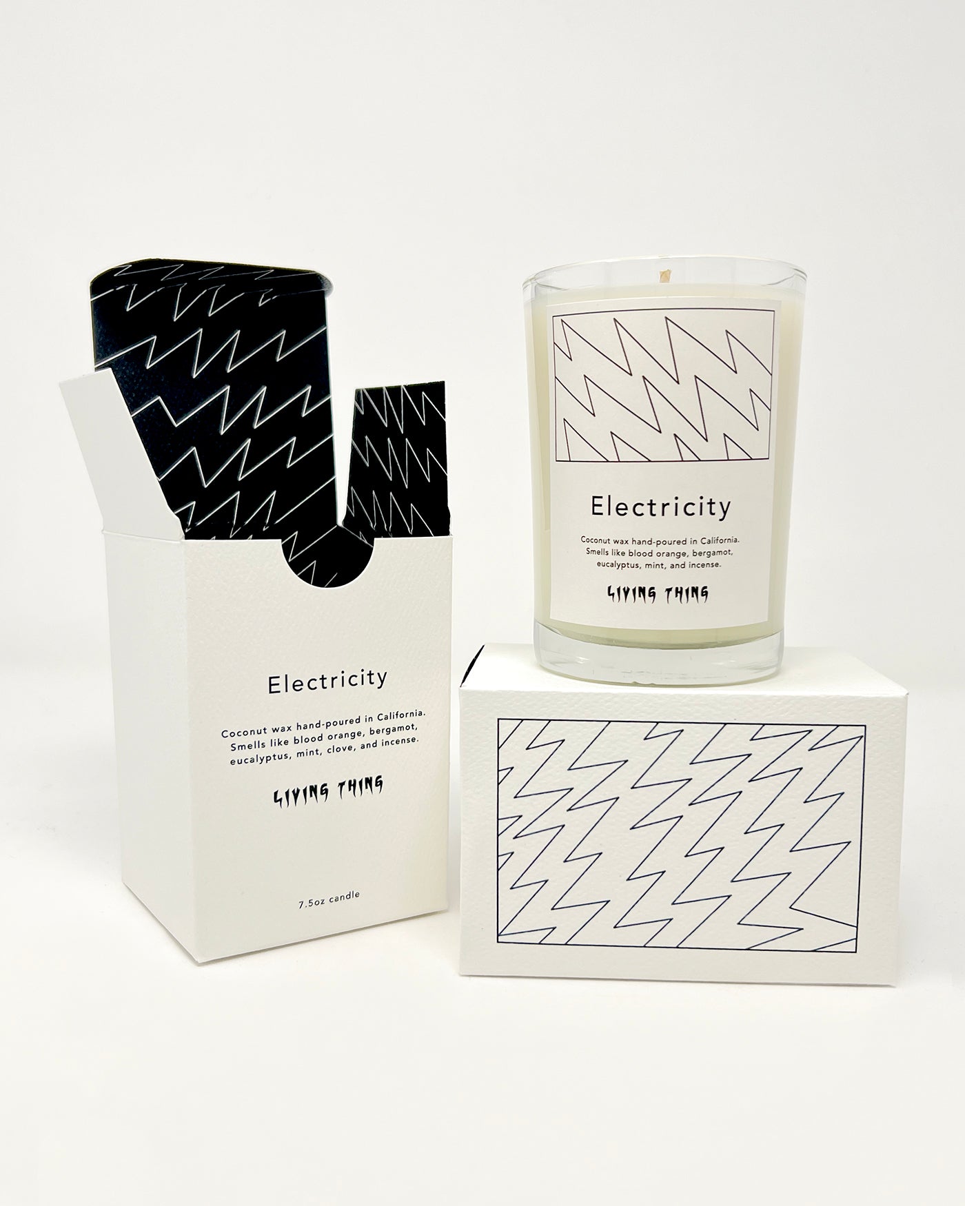 Electricity: Orange + Eucalyptus Candle