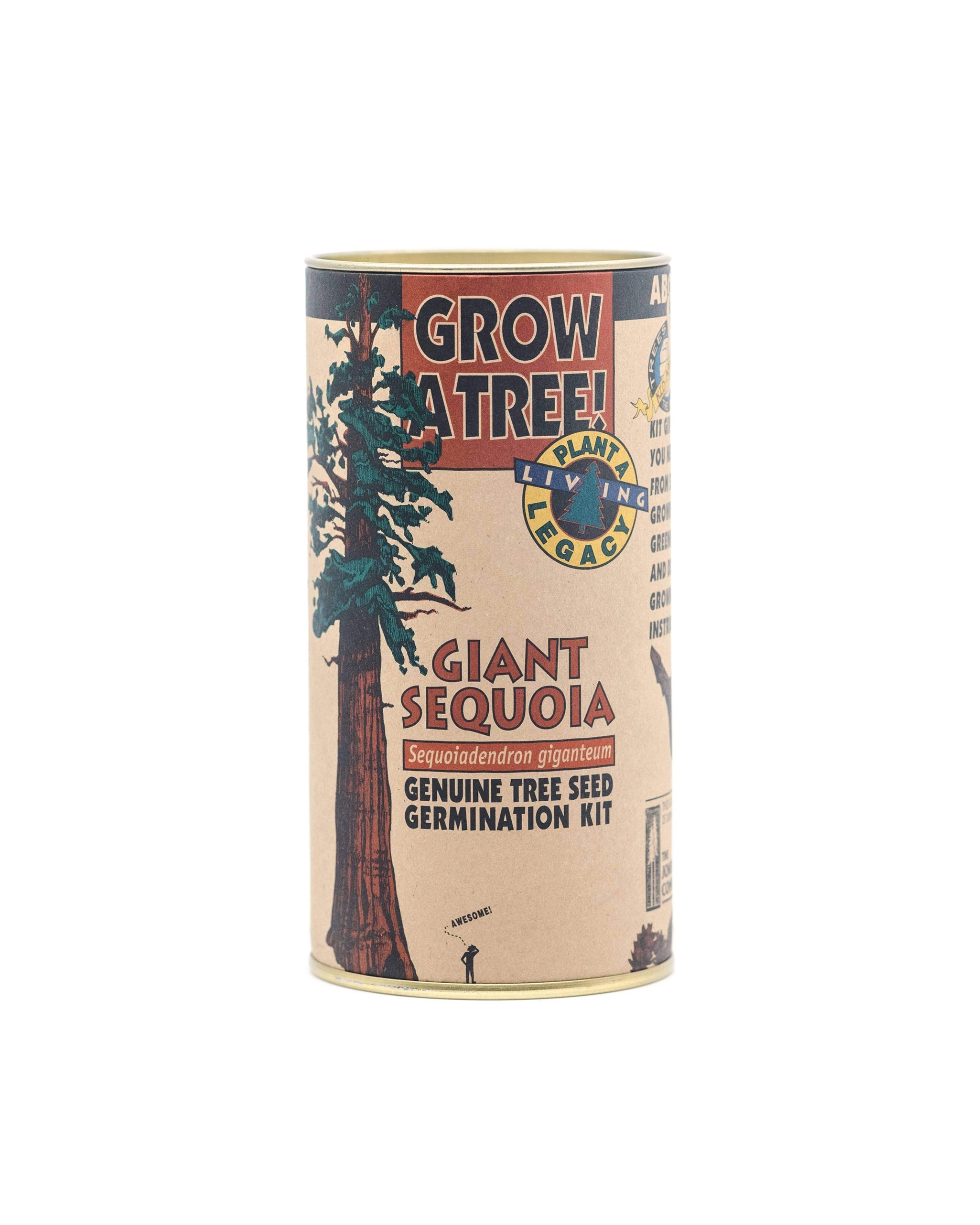 Giant Sequoia Seed Grow Kit