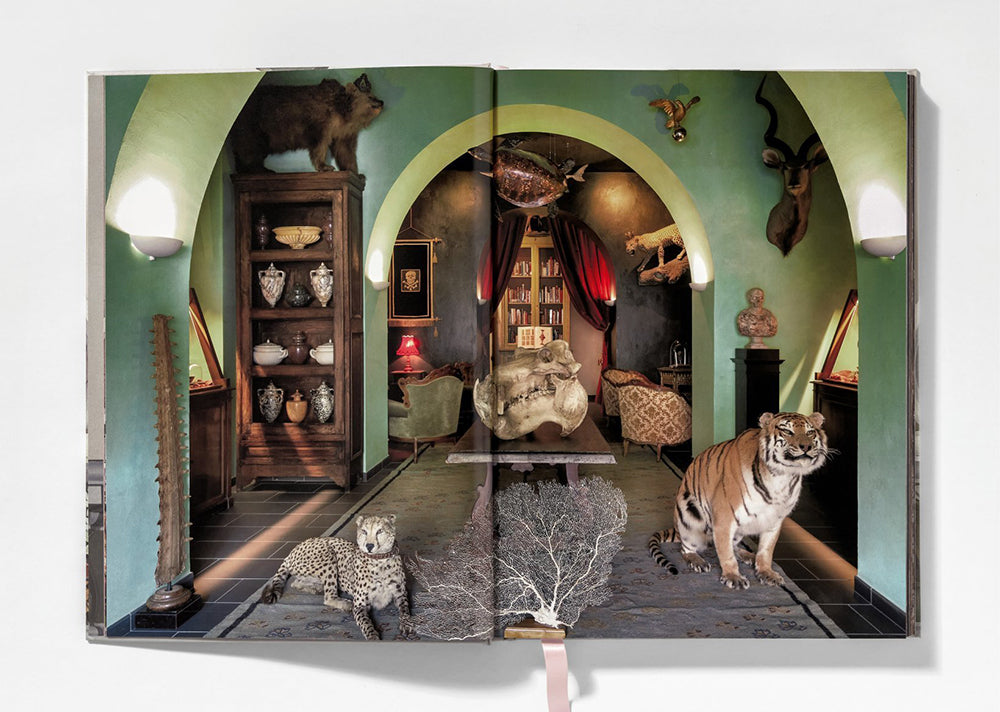 Cabinet of Curiosities, Massimo Listri Book
