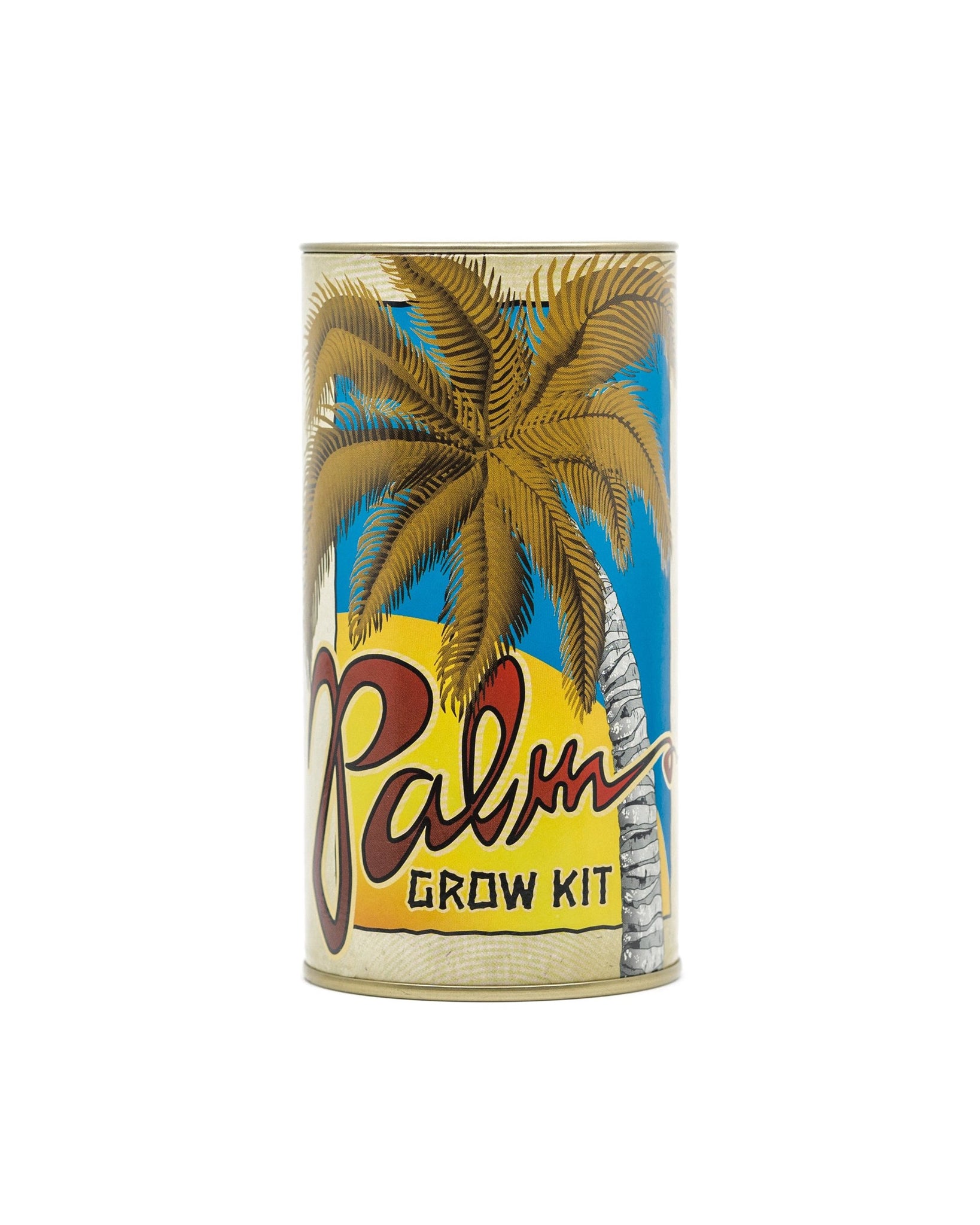 Palm Tree Seed Grow Kit